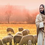 xr:d:DAGBKBYoIFY:8,j:4610983606259533735,t:24040108