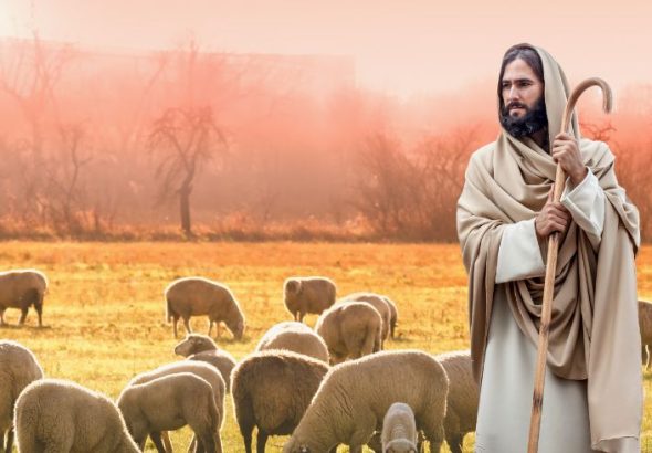 xr:d:DAGBKBYoIFY:8,j:4610983606259533735,t:24040108