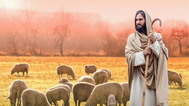 xr:d:DAGBKBYoIFY:8,j:4610983606259533735,t:24040108