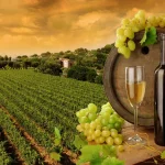 depositphotos_2284112-stock-photo-wine-grapes-and-sunset-vineyard