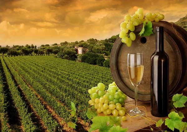 depositphotos_2284112-stock-photo-wine-grapes-and-sunset-vineyard